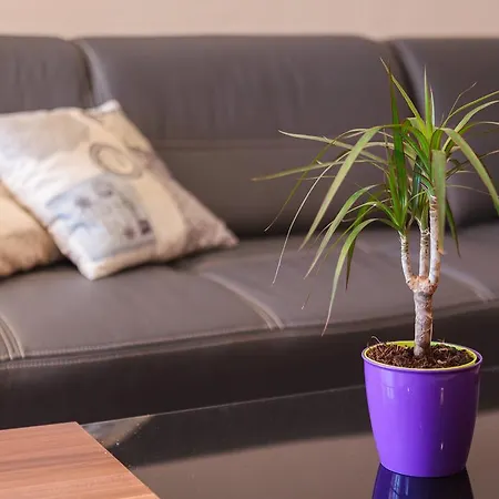 Appartement Judita Supetar