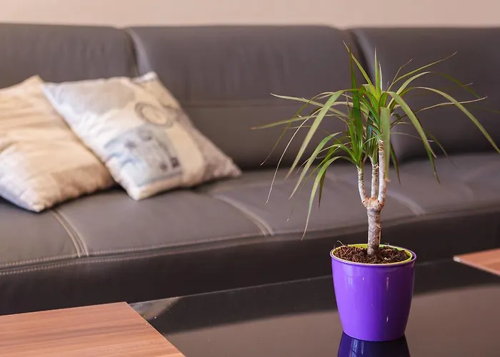 Apartman Judita Supetar